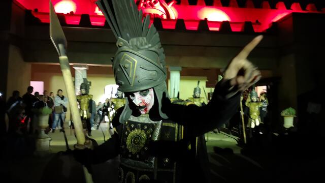 Wächter der Holzachterbahn "Des"Troy im Toverland | Foto: (privat)