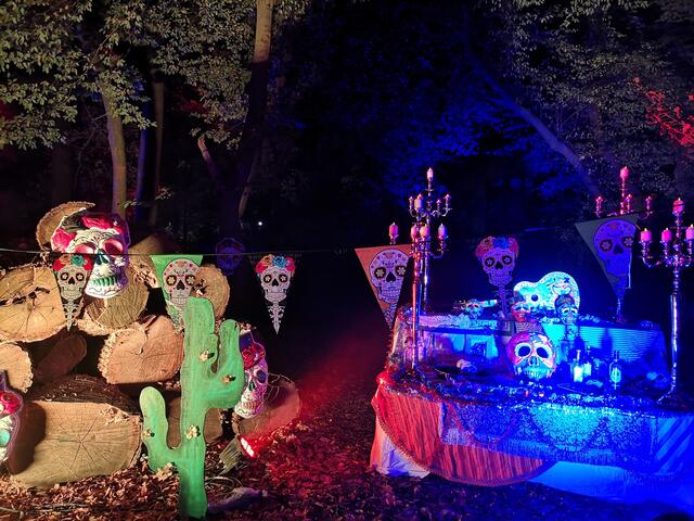 Zoom-Erlebniswelt - der Altar zur Fiesta de la Muerte | Foto: (privat)