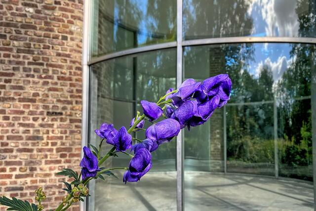 Staudenbeete führen zum Graubner-Pavillon. | Foto: © Margot Klütsch