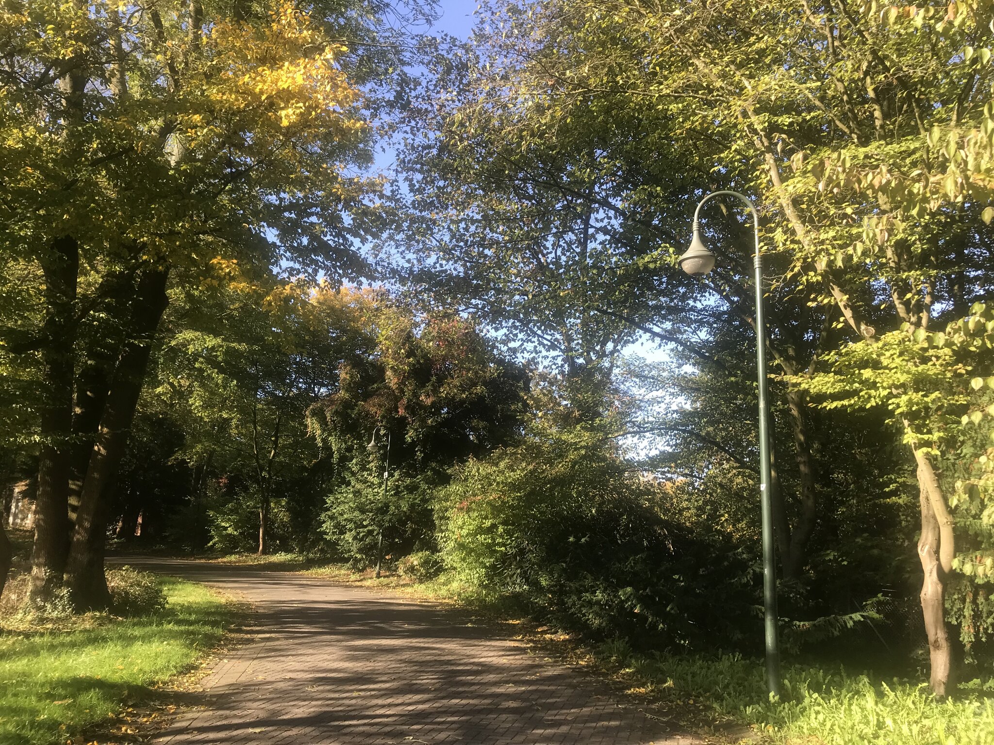 Die Kunst, den perfekten Kaffee zu brühen Die Kunst, den perfekten Kaffee zu brühen