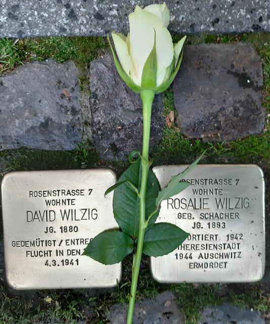 Stolpersteine für Rosalie und David Wilzig in der Berliner Straße