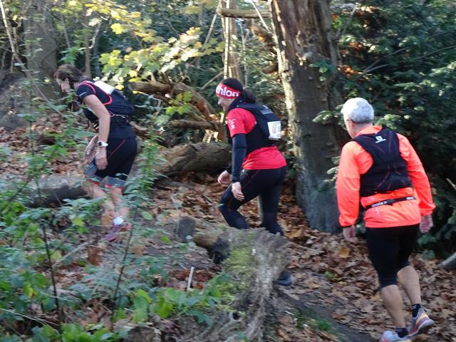 Viele Höhenmeter warten.