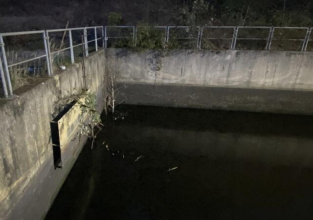 Der Uhu hat sich vorerst auf einen Ast in einer Ecke gerettet. | Foto: Thorsten Krajewski