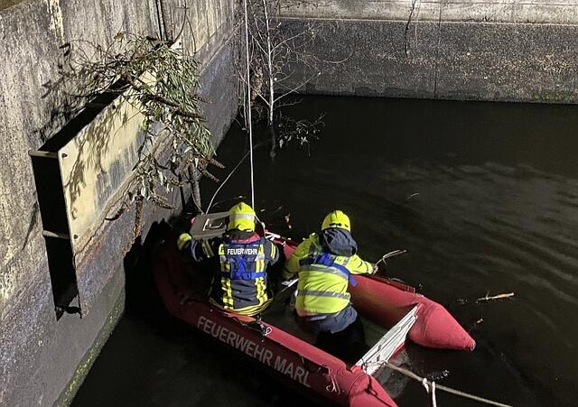 MIt Decke und Transportbox nähern sich die Retter dem großen Greifvogel | Foto: Thorsten Krajewski