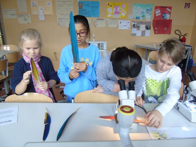 Foto: Thomas Facklam