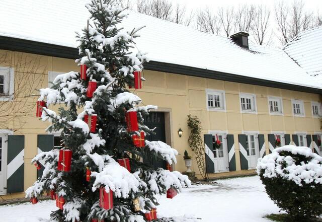Die Adventszeitzeit in der Wasserburg Haus Graven in Langenfeld-Wiescheid soll wieder - nach zweijähriger Corona-Zwangspause - gefeiert werden. Kurz vor dem Weihnachtsfest, am vierten Adventssonntag, 18. Dezember, erwartet die Besucher im geschmückten Burghof von 11 bis 18 Uhr wieder "Advent auf Haus Graven". | Foto: Zur Verfügung gestellt von: Wasserburg Haus Graven e.V.