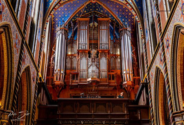 Hoch über der Kirchenbestuhlung, die reich verzierten Orgelpfeifen. | Foto: Peter Seibt