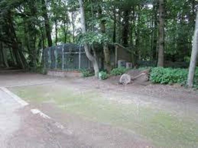 Volkspark: Marl.de

Stadt Marl
Volkspark: Marl.de