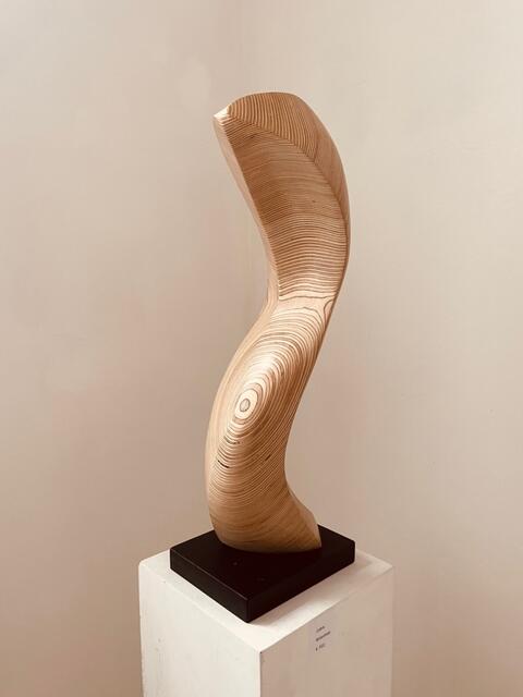 Claus-Peter Laube - Ausstellung in der RUHR GALLERY MÜLHEIM "Schlange" | Foto: MMKM - Museum Moderne Kunst Mülheim