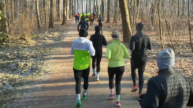 Läufer des Ruhrklippenlaufes in einem Wald im Naturschutzgebiet Fürstenbergholz und Wannebachtal.