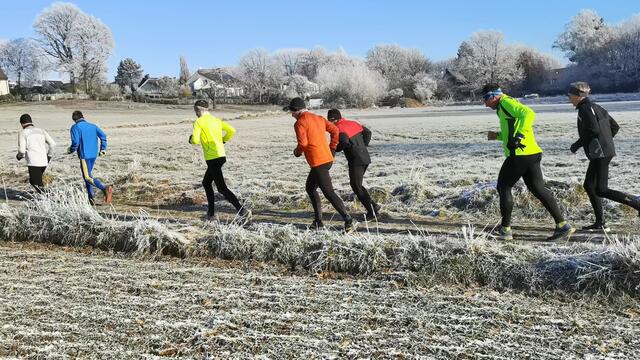 Läufer an der "Pferdekoppel" auf den letzten Kilometern beim Ruhrklippenlauf
