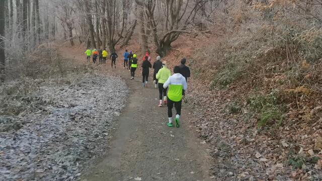 Läufer des 250. Ruhrklippenlaufes erreichen die Trailstrecken am Klusenberg.