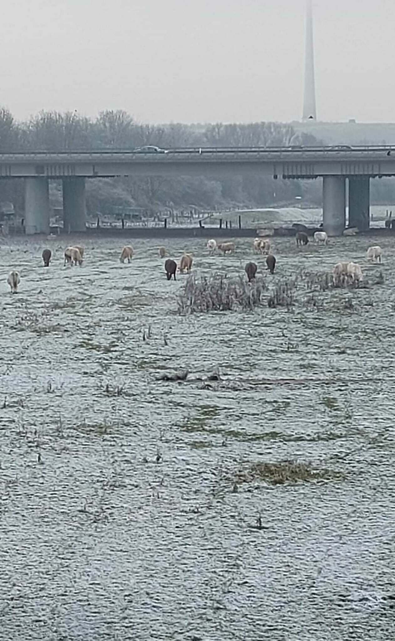 Styrumer Termine Die erste Stadtviertelkonferenz 2023