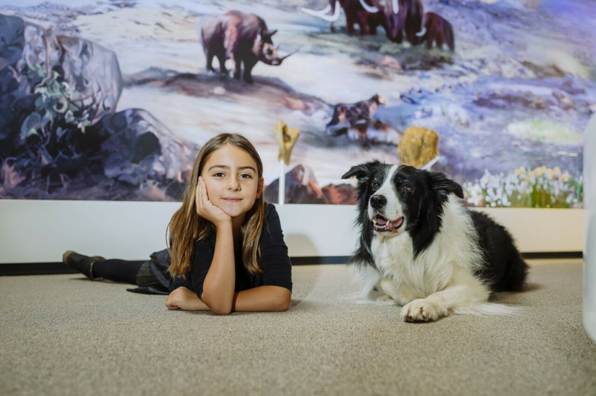 Museum Mit Hund In Der Nähe Mit Hund durch Ausstellung am Freitag, 6. Januar: „DoggyDay“ im