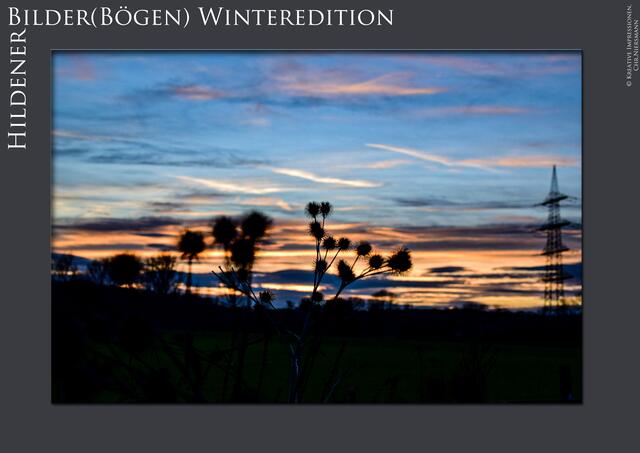 HildenerBilder(Bögen) Winteredition I
 Der Winter ...

Planten &amp; Blomen | Foto: © Kreative Impressionen, Chr. Niersmann