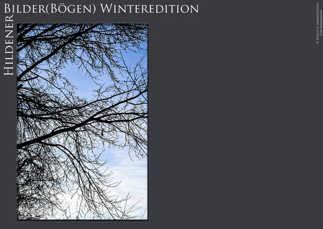 HildenerBilder(Bögen) Winteredition I
 Der Winter ...

Kontrastreich ... | Foto: © Kreative Impressionen, Chr. Niersmann