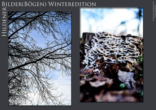 HildenerBilder(Bögen) Winteredition I
 Der Winter ...

Kontrastreich &amp; Formenreich | Foto: © Kreative Impressionen, Chr. Niersmann