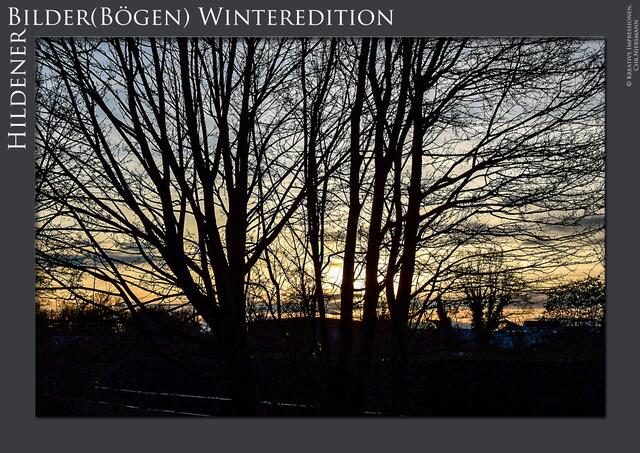 HildenerBilder(Bögen) Winteredition I
 Der Winter ...

Die Dämmerung zieht herauf ... | Foto: © Kreative Impressionen, Chr. Niersmann