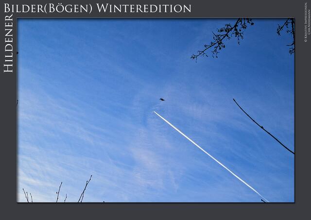 HildenerBilder(Bögen) Winteredition I
 Der Winter ...

Flug des Phönix | Foto: © Kreative Impressionen, Chr. Niersmann