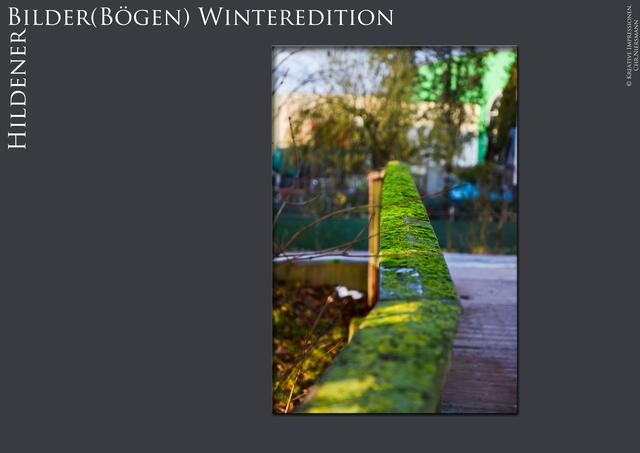 Hildener Bilder(Bögen) - Winteredition Part II
- Winter´s Green

Das grüne Geländer ... | Foto: © Kreative Impressionen, Chr. Niersmann