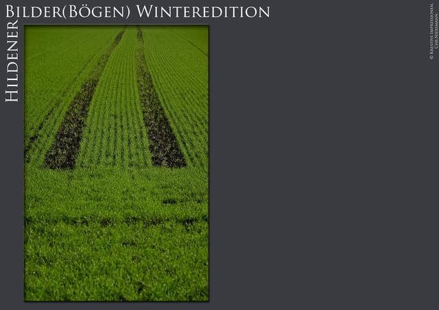 Hildener Bilder(Bögen) - Winteredition Part II
- Winter´s Green

Unbekannte Pfade ...
 | Foto: © Kreative Impressionen, Chr. Niersmann