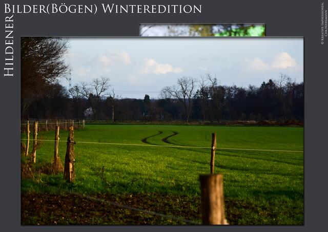 Hildener Bilder(Bögen) - Winteredition Part II
- Winter´s Green

Verschlungene Pfade ...  | Foto: © Kreative Impressionen, Chr. Niersmann