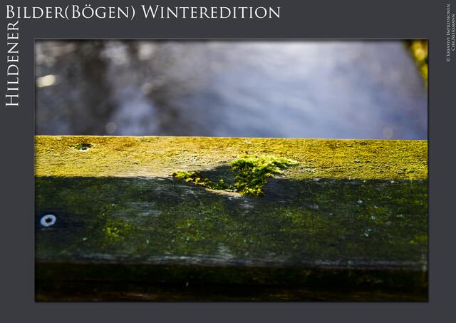 Hildener Bilder(Bögen) - Winteredition Part II
- Winter´s Green

Grüne Senke ... | Foto: © Kreative Impressionen, Chr.Niersmann