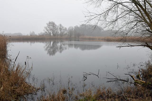 *Winterzeit in den Rieselfeldern* 🌿❄️
- Foto/ Copyright: Birgit Leimann - Münster in Bildern 📷