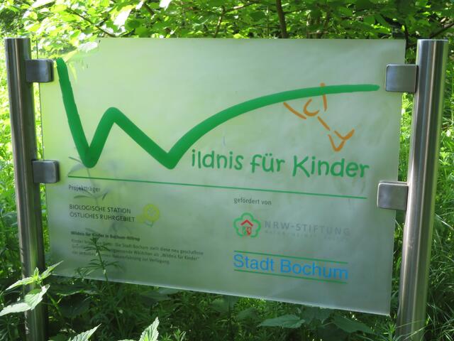 Wildnis für Kinder (2022)