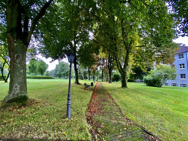 Krankenhauspark 2020