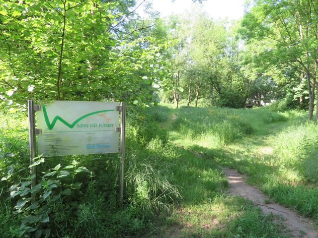 Wildnis für Kinder (2022)