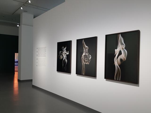 Die neueste Serie Flames: durch kurze Belichtungen bekommen die Flammen eine Körperlichkeit und visuelle Präsenz. Blick in die Ausstellung "Out of Sight" von Andreas Gefeller