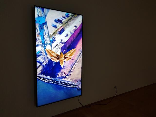 Der Schmetterling scheint über Landschaften und urbane Räume zu fliegen.  Blick in die Ausstellung "umlauf" der Landsberg-Preisträgerin von 2022 Alex Grein 