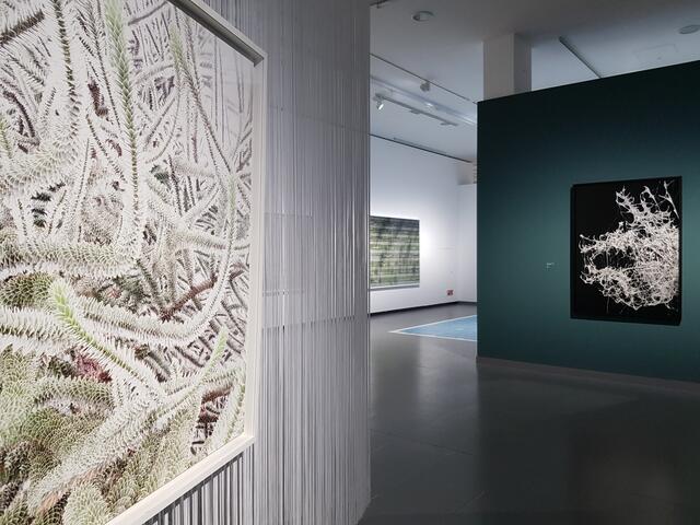 Die sehr gut präsentierte Ausstellung lädt zur Spurensuche ein. Blick in die Ausstellung "Out of Sight" von Andreas Gefeller im NRW-FORUM 