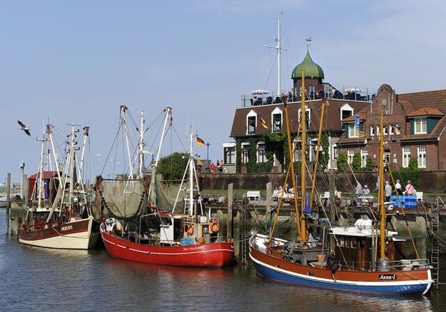 Hoffentlich noch lange ein schöner Anblick - die Krabbenkutter im Hafen von Neuharlingersiel  | Foto: Günter Pfannenstein 