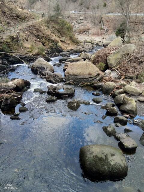 über Stock und über Stein...