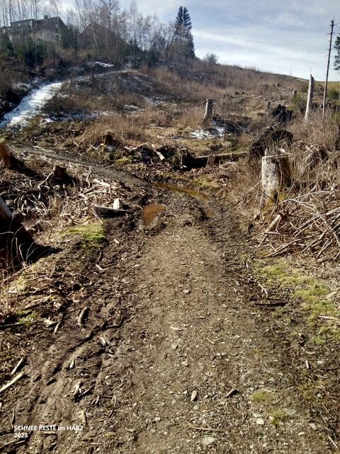 ...stellenweise lag noch ein wenig Schnee (März)...