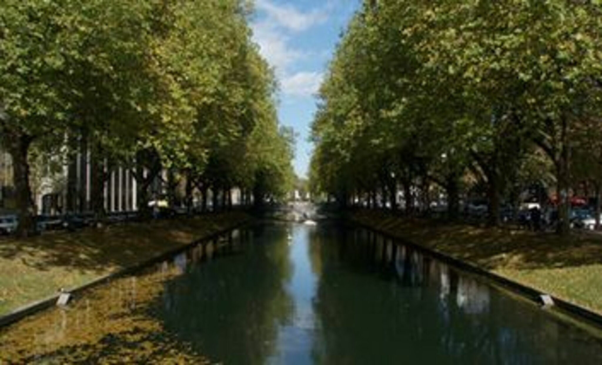 Entschlammungsarbeiten im Kö-Graben: Wie hat die Stadt den Tierschutz