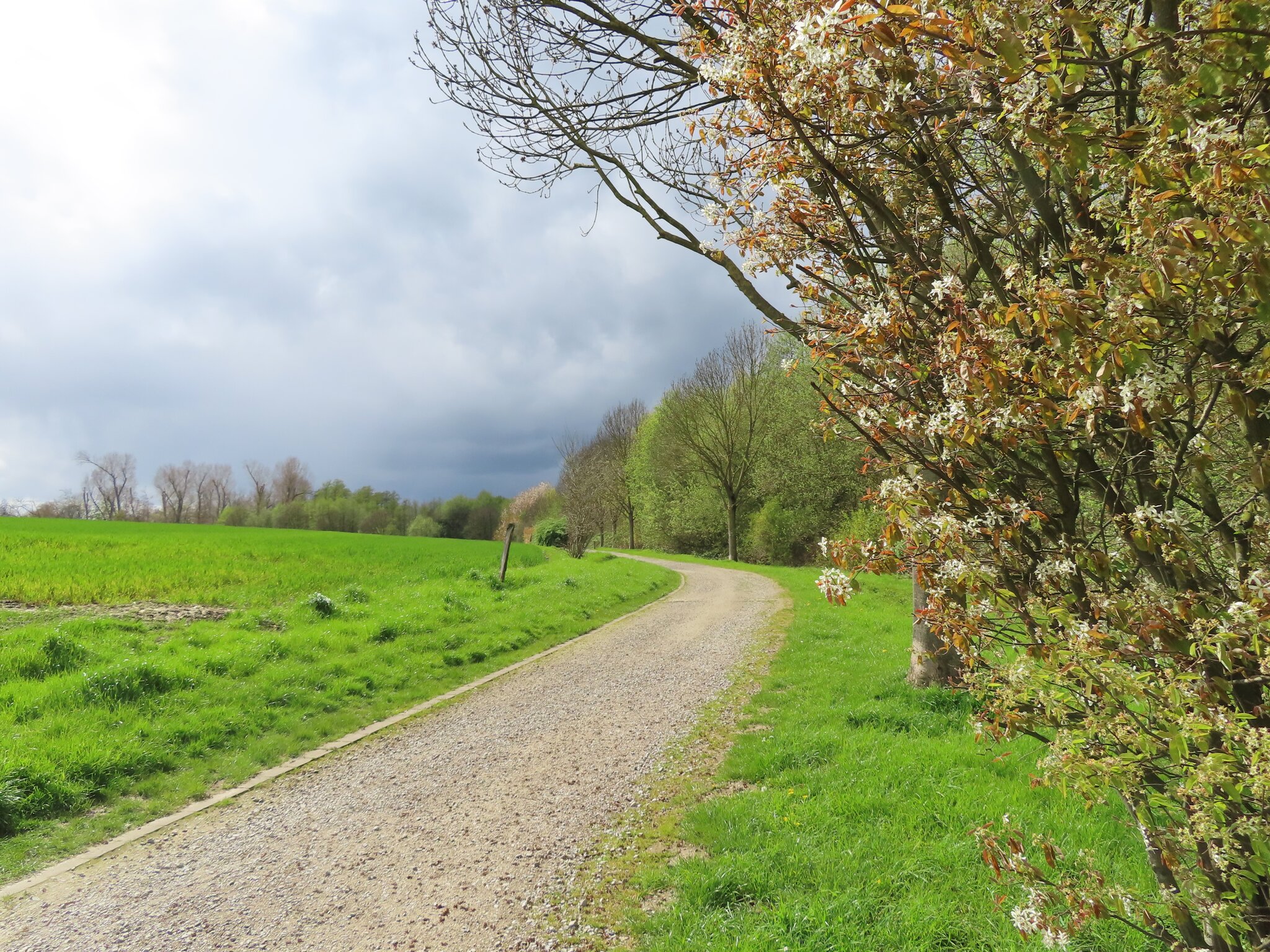 Wanderwege im Revier BochumGerthe Bochum