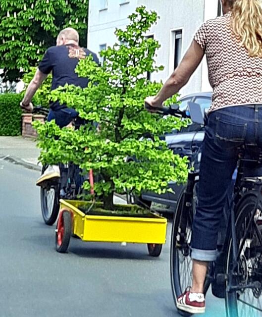 Beobachtungen. 
Foto Silke Hoffmann 