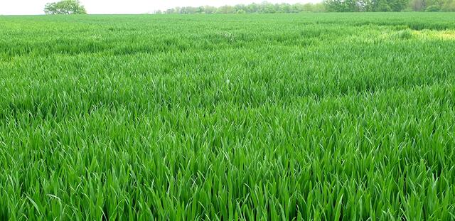 Augen auf der Ruhrpott ist wunderschön. 