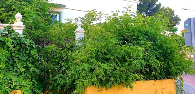 Grüner Urlaubsrückblick.