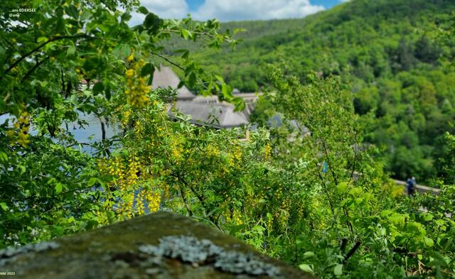 wieder einmal "anderSgesehen" ...2023@ana´