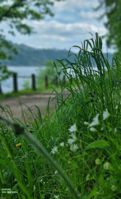 ...einfach schöne Details entdecken :-)