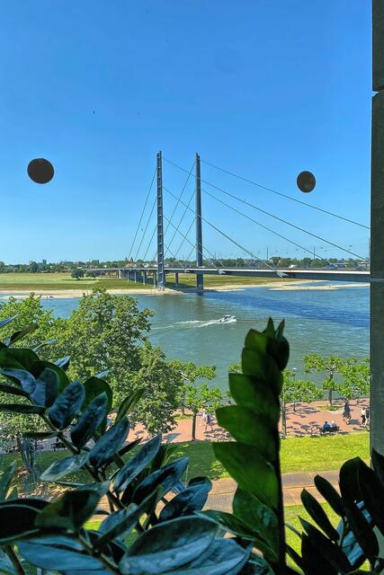 Schöne Aussicht: Der Blick vom Landtag auf den Rhein. | Foto: ©Margot Klütsch