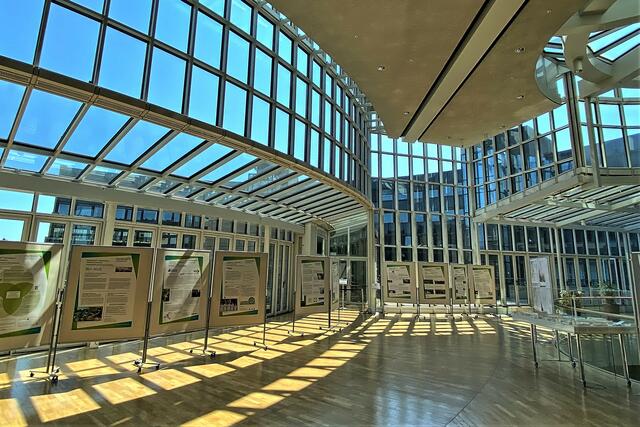 Lichtspiele erfreuen das Fotografenherz.  | Foto: ©Margot Klütsch