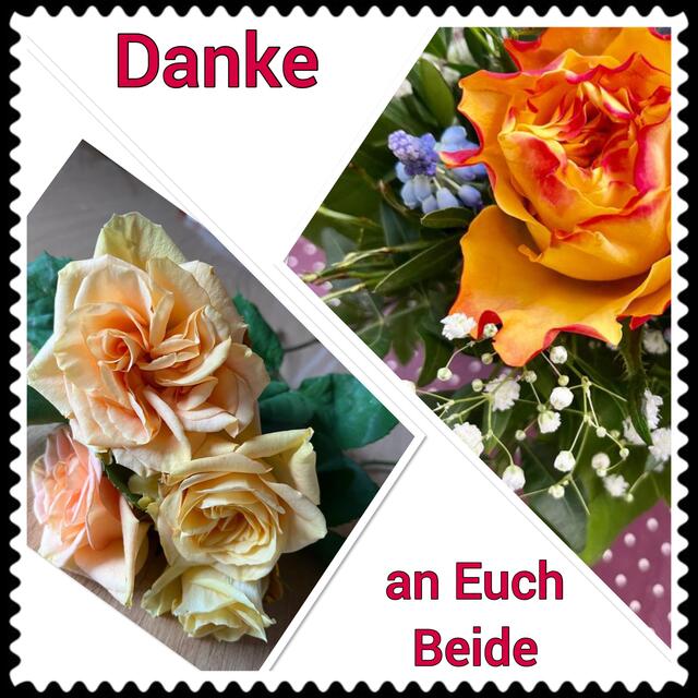 Eine tolle Überraschung Kleine Geschenke erhalten die Freundschaft