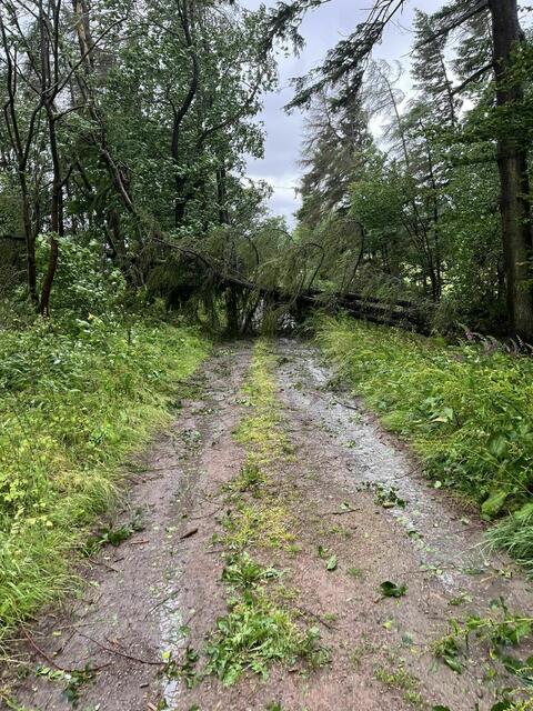 Foto: Steven Jaspers