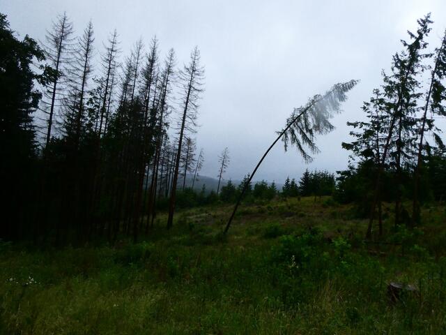 Foto: Steven Jaspers