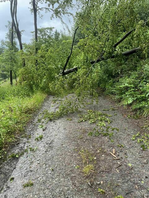 Foto: Steven Jaspers